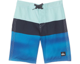 Шорты Quiksilver Everyday Panel 13 с эластичным поясом для детей