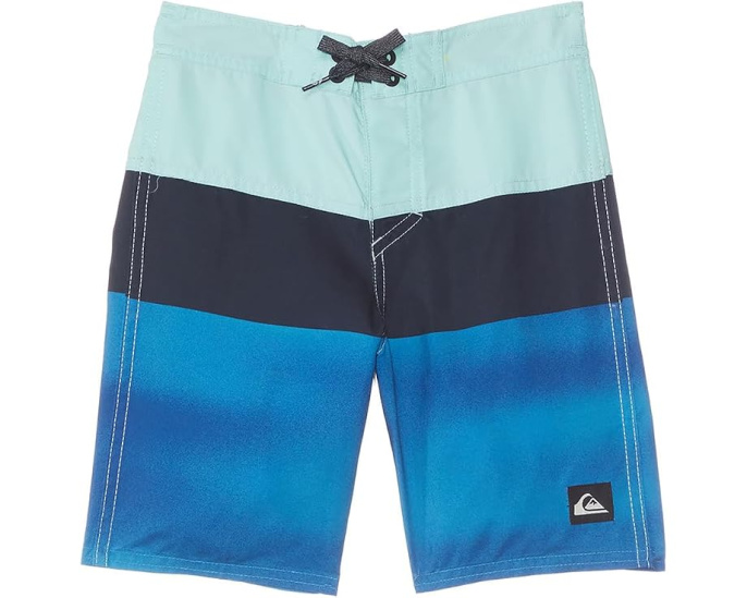 Шорты Quiksilver Everyday Panel 13 с эластичным поясом для детей