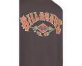 Свитшот с круглым вырезом Short Sands Crew с принтом Billabong