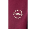 The North Face футболка Evolution TNF NSE Relaxed с коротким рукавом