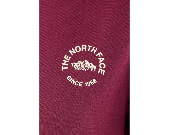 The North Face футболка Evolution TNF NSE Relaxed с коротким рукавом