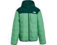 The North Face Детская реверсивная куртка Shasta с капюшоном и утеплителем