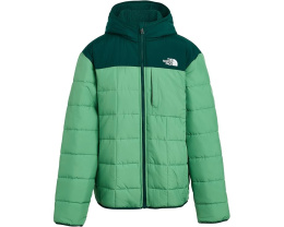 The North Face Детская реверсивная куртка Shasta с капюшоном и утеплителем