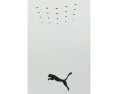 Спортивный бюстгальтер Puma PWRMode High Impact Racerback