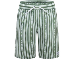 Детские плавательные шорты Hurley Kids Mini Vacay Stripe Pull On Swim Trunk