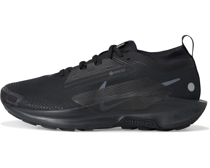 Трейловые кроссовки Nike Pegasus Trail 5 GORE-TEX для сырой погоды
