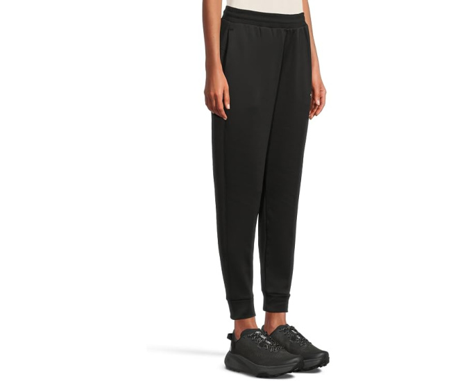 Флисовые штаны TNF Performance Fleece SW The North Face