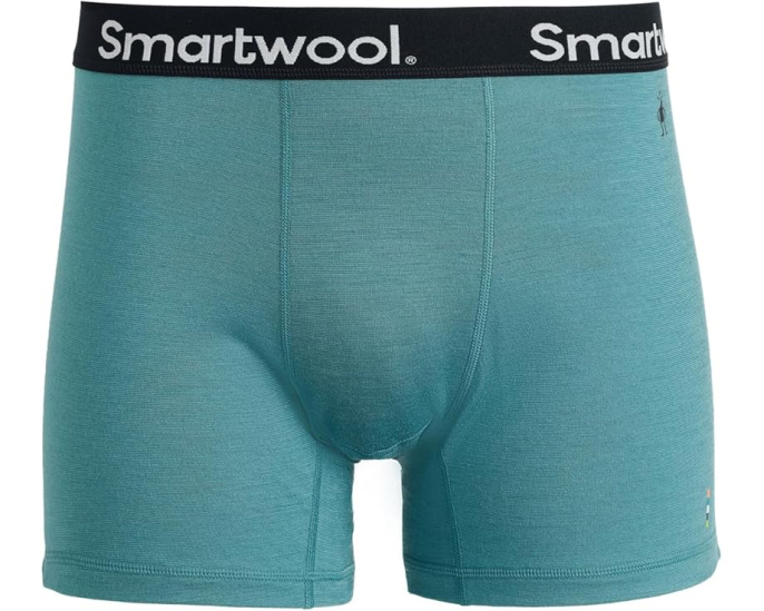 Трусы боксеры Smartwool Active Boxer Brief Boxed из мериносовой шерсти