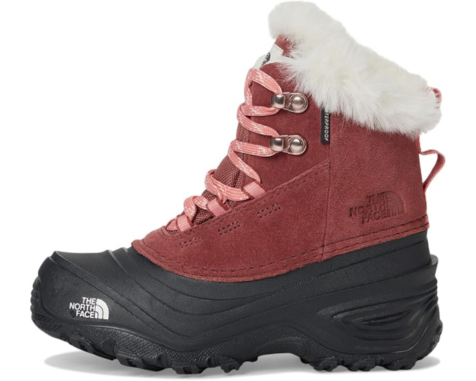 Детские непромокаемые ботинки для походов The North Face Shellista V