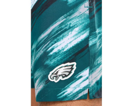 The Color Blitz Eagles 5.5" (Classic Lined Swim Trunks)