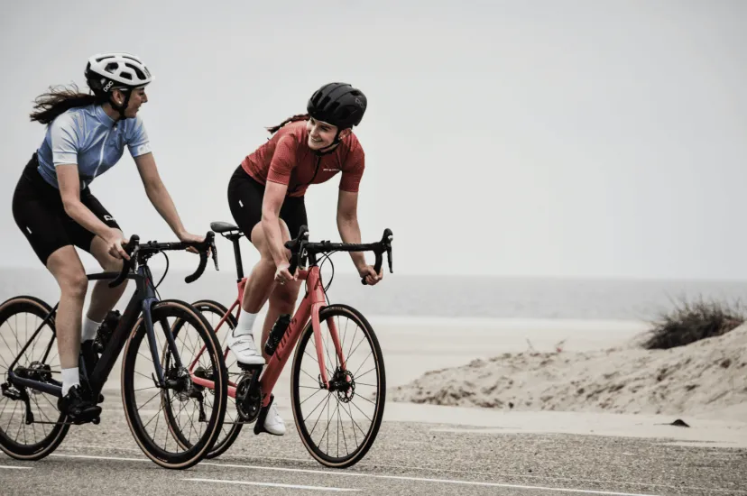 Новые поступления горных велосипедов в интернет-магазине