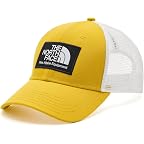 Pigment Yellow