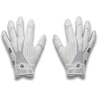 White/Metallic Silver