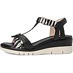 Black/Zebra