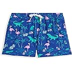 Bright Blue/Pattern Base