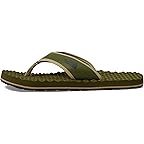 Forest Olive/Forest Olive