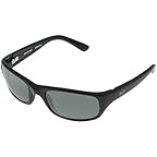 Gloss Black/Neutral Grey Lens