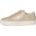 Shell Metallic Canvas