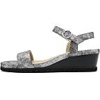 Pewter Antique