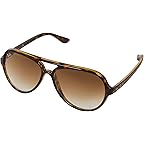 Light Havana/Clear Gradient Brown