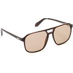 Dark Brown/Brown Lens