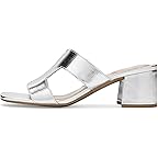 Silver Lizard