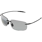 Gloss Black/Neutral Grey Lens