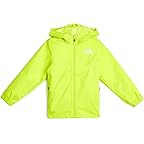 Fizz Lime