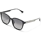 Shiny Black W/Trans Light Grey/Neutral Grey Polarized
